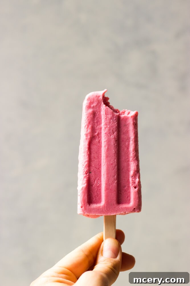 Strawberry Yogurt Sunshine Pops 6 Assortment of homemade yogurt popsicles in various fruit flavors