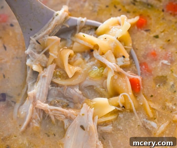 Two bowls of high-protein chicken noodle soup ready to be served